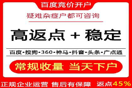 百度SEO优化公司案例：打造品牌网络曝光新高度